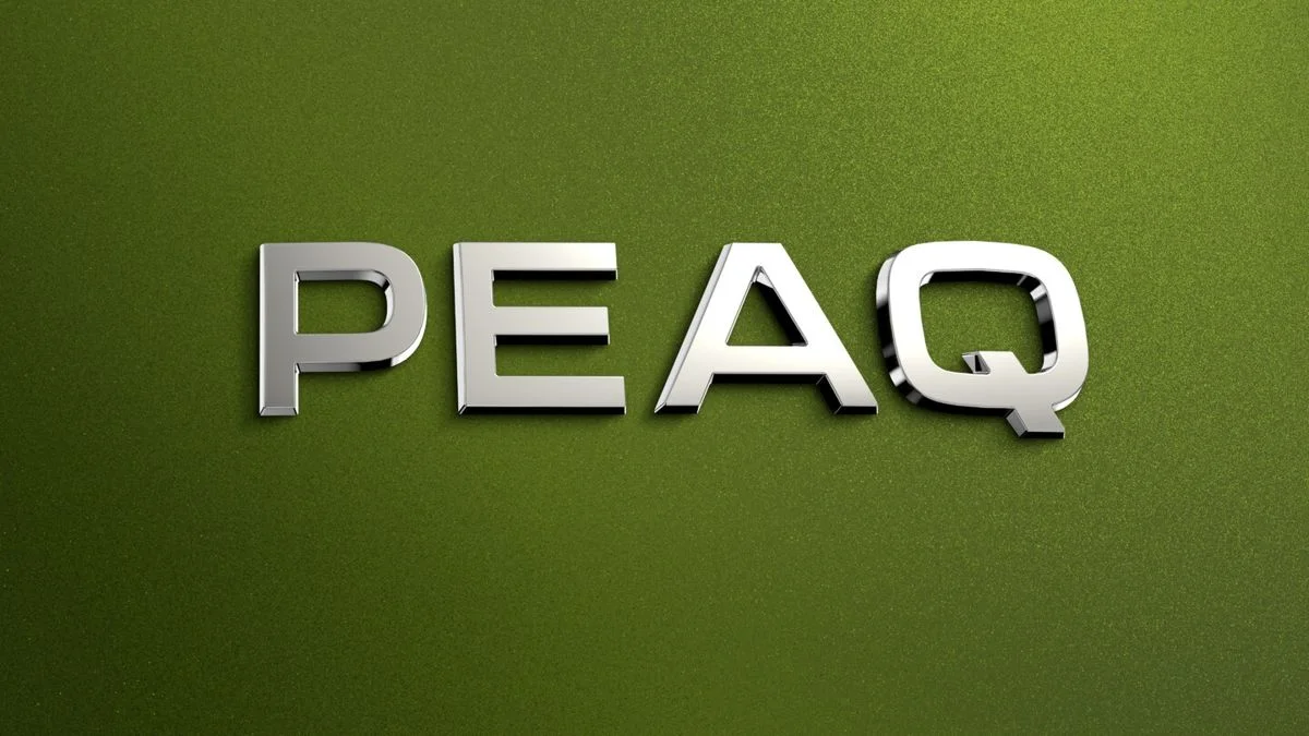 Ilustrace k článku: Škoda představí nový elektrický model Peaq, který nahradí tradiční názvy