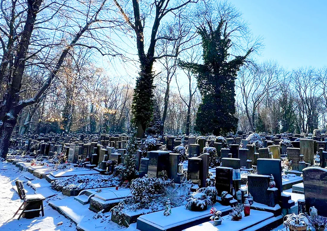 Ilustrace k článku: Pražské pohřební služby varují před kluzkým chodníkem s humorem