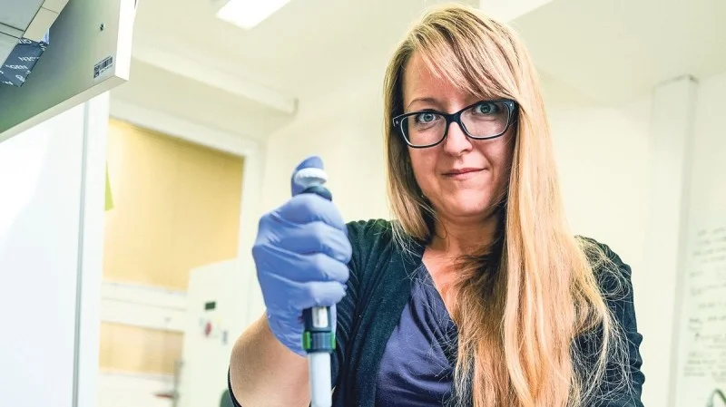 Zpráva: Klonování zvířat jako luxus, otazník visí nad klonováním lidí