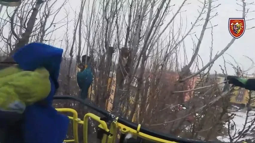 Ilustrace k článku: Papoušek ara zachráněn hasiči v Karviné po uvíznutí ve stromě