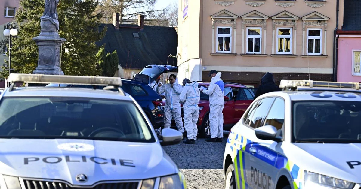 Ilustrace k článku: Tragická střelba v Chřibské: Policejní zdroje varují před nedostatkem sil