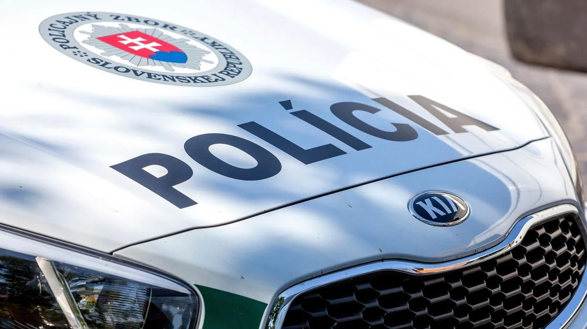 Ilustrace k článku: V obci Vranov nad Topľou našli tři mrtvé, jeden podezřelý zadržel