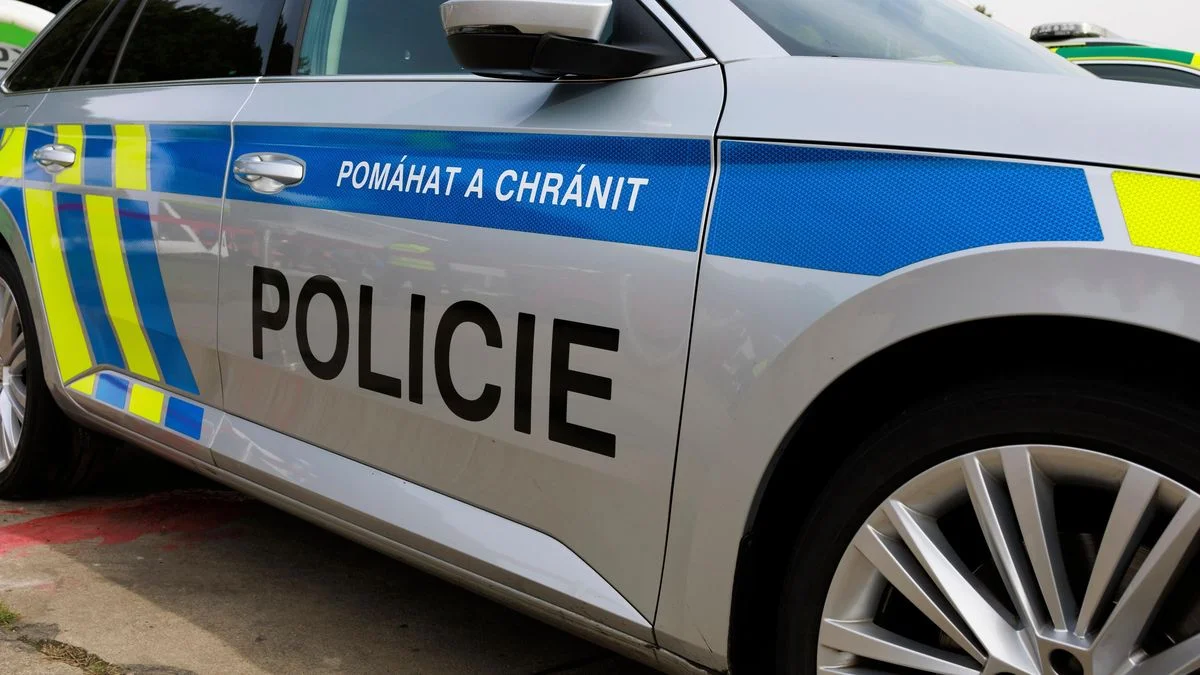 Ilustrace k článku: Policie zasahuje na Městském úřadu Černošice, zadržela 16 lidí