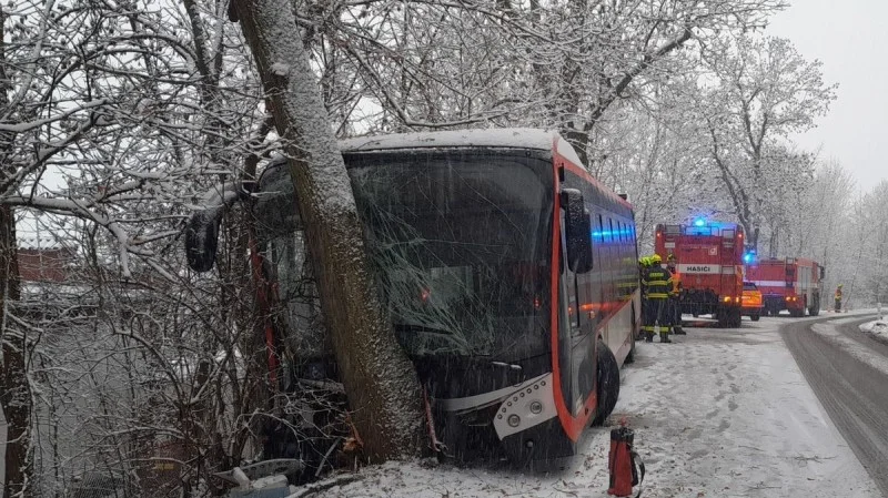 Zpráva: Nehoda autobusu v Plzni: Řidič narazil do stromu, jedna zraněná osoba