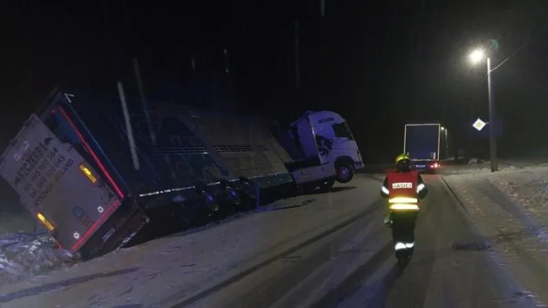 Zpráva: Na Vysočině havaroval kamion s dobytkem a autobus
