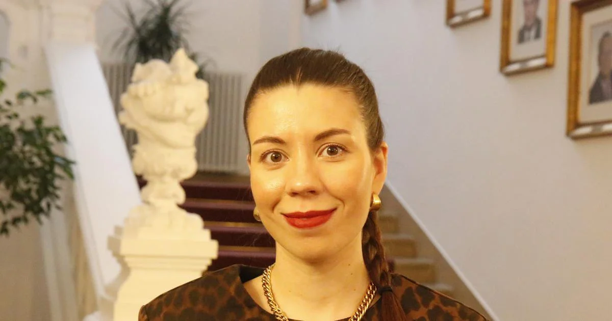 Ilustrace k článku: Piráti na protivládní demonstraci: Stojanová vyzývá k účasti i poslance vlády