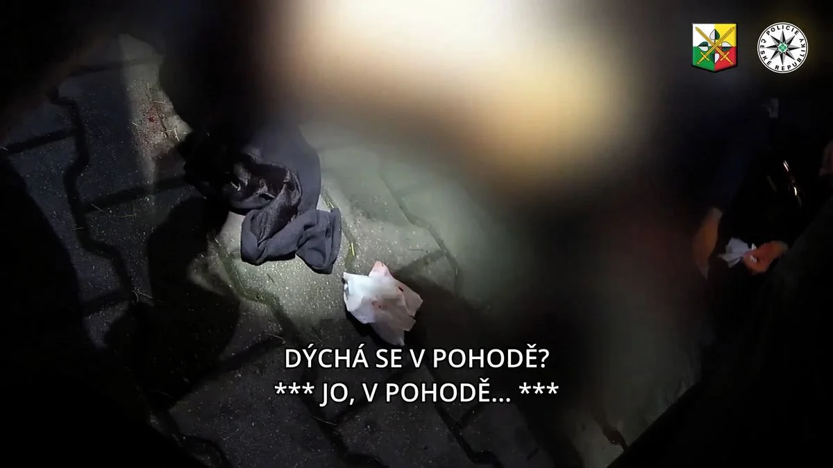 Ilustrace k článku: Plzeň: Zloděj s nožem zaútočil na muže, žalobce žádá pět let vězení