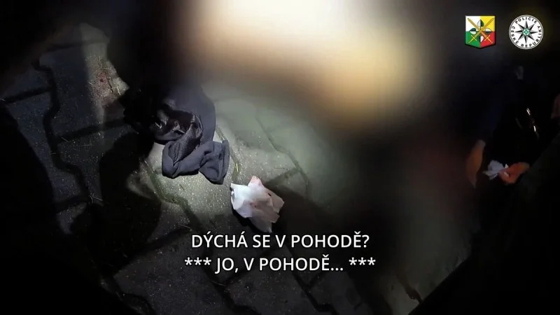 Zpráva: Plzeň: Zloděj s nožem zaútočil na muže, žalobce žádá pět let vězení