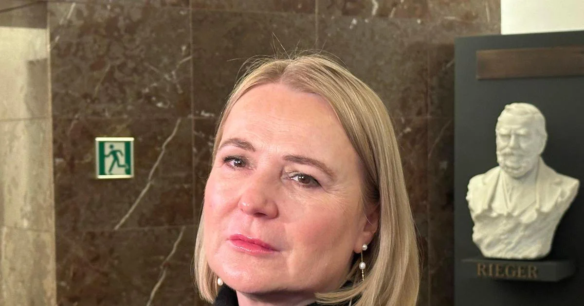 Ilustrace k článku: Černochová obhajuje rozhodnutí o letounech pro Ukrajinu, kritizuje Řehku