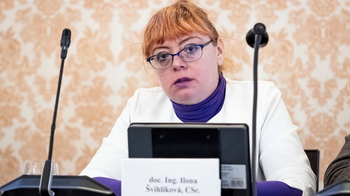 Ilustrace k článku: Babiš zřídil nový poradní tým s ekonomkou napojenou na komunisty