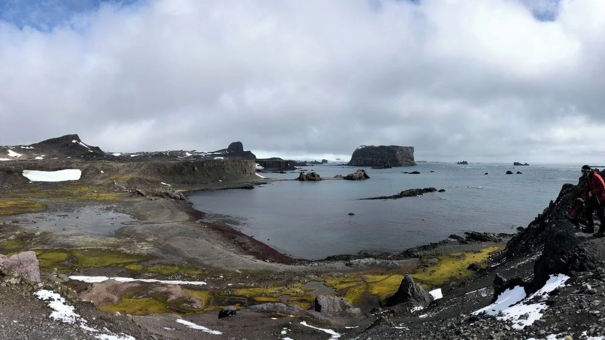 Ilustrace k článku: Antarktické mikroorganismy mohou inspirovat vývoj nových postřiků