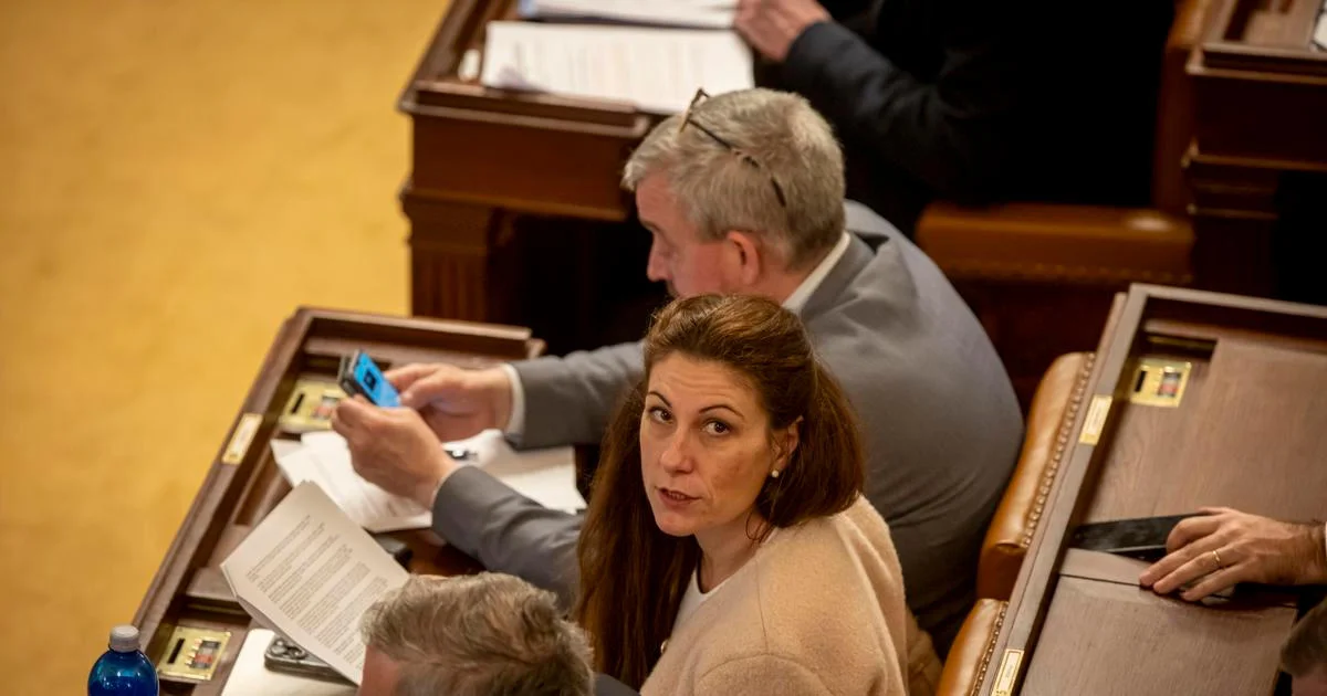 Ilustrace k článku: Eva Decroix čelí kritice od ANO, připomíná hříchy politiků