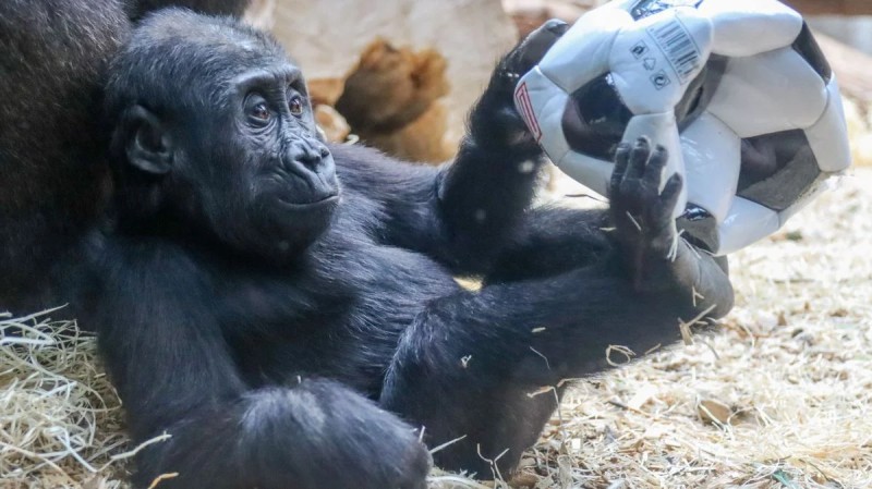 Zpráva: Kulturní a rodinné akce na víkend po celé republice