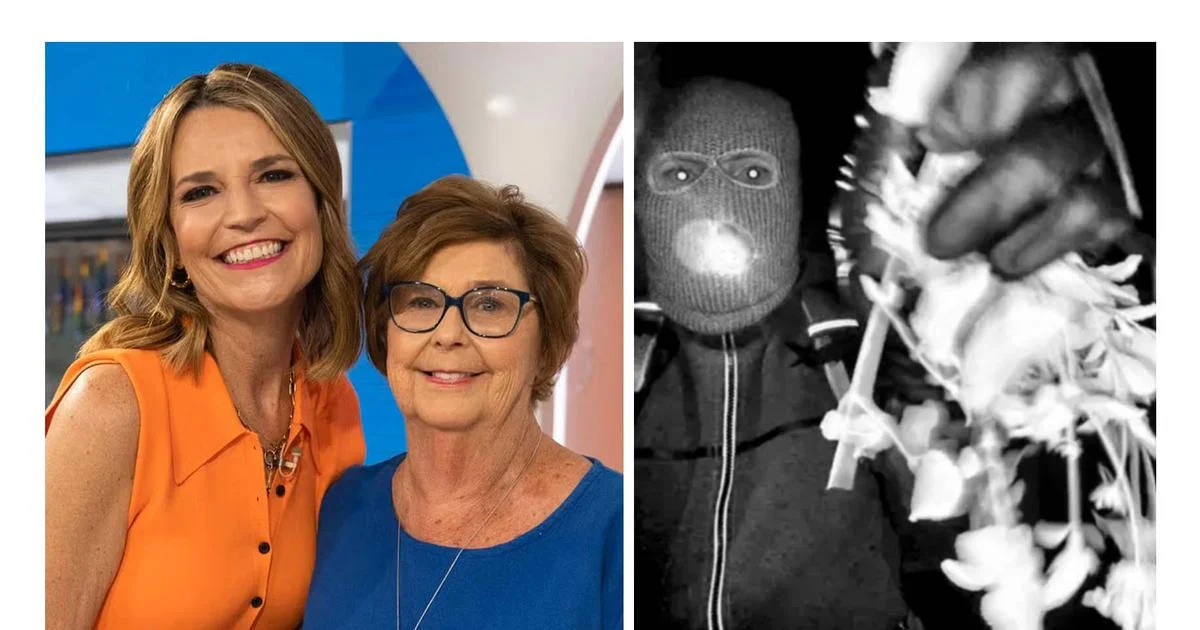 Ilustrace k článku: FBI zveřejnila záběry ze dne, kdy zmizela matka moderátorky Savannah Guthrieové