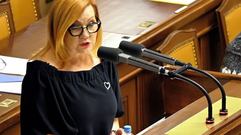 Zpráva: Rozpočet s 310 miliardami schodku vyvolává kontroverze, varuje Hampl