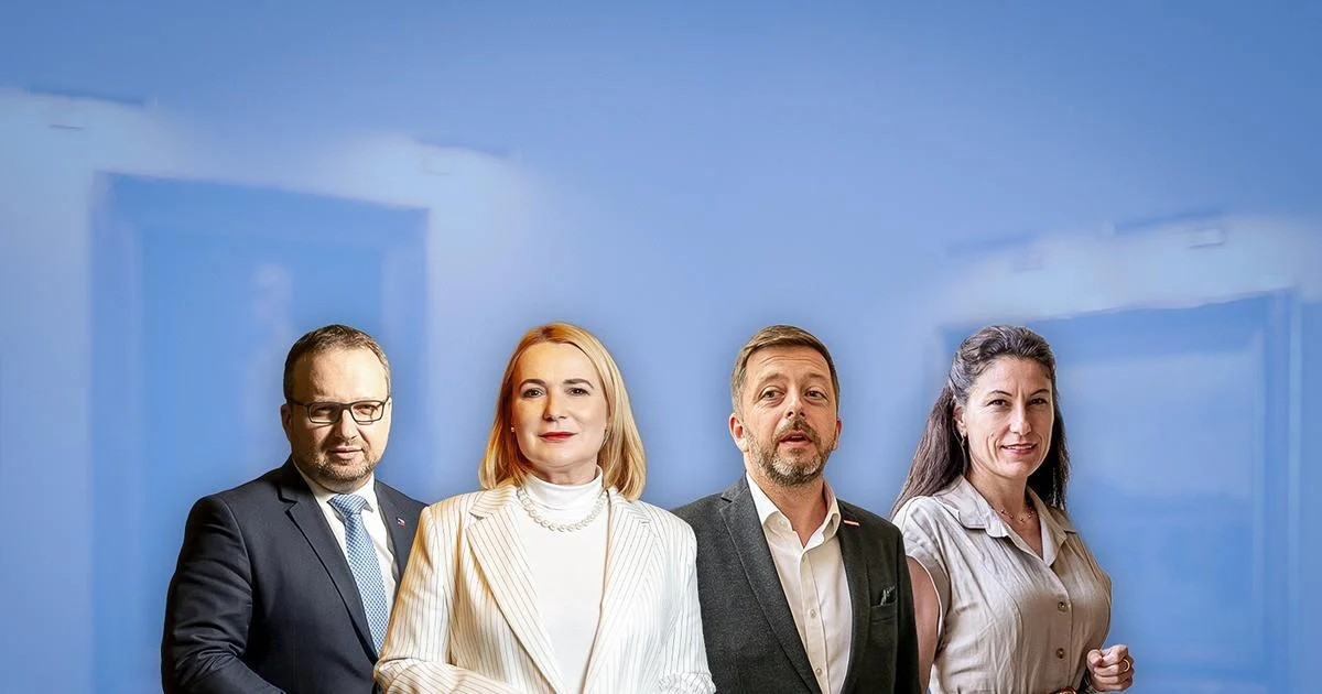 Ilustrace k článku: Černochová ano, Rakušan a Decroix ne, Jurečka možná. ANO a SPD si vyřizují účty s kritiky