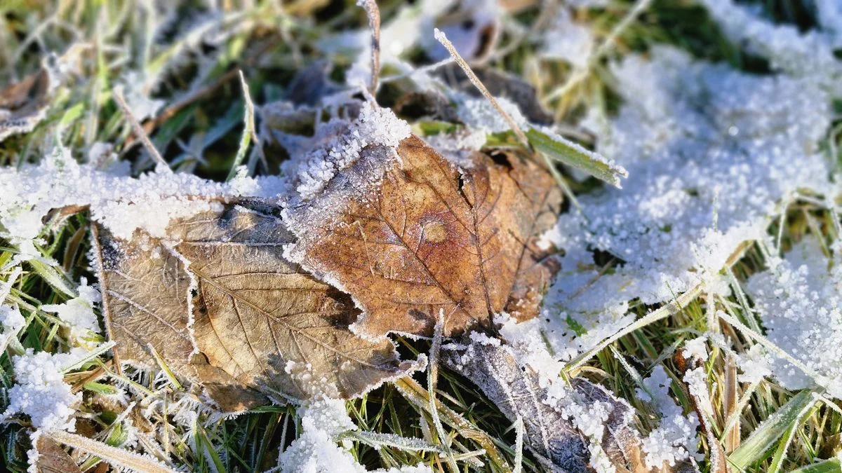 Ілюстрація до статті: Чехію накриють сильні морози: попередження метеорологів