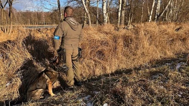Иллюстрация к статье: В Южночехском крае расследуется первое убийство 2023 года: подозреваемый находится в больнице