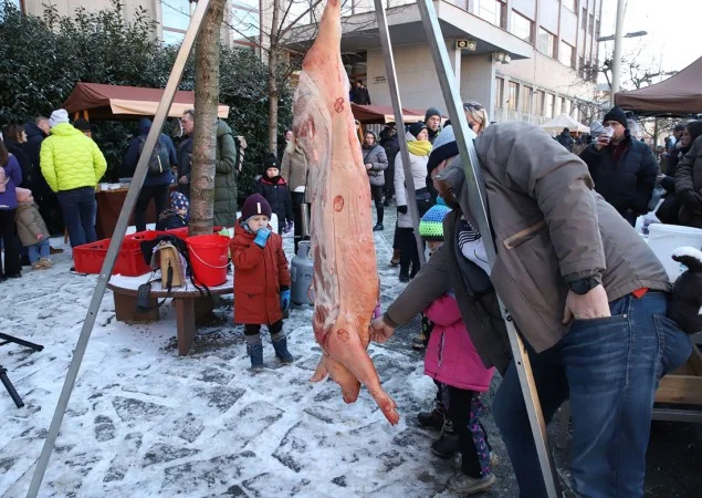 Zpráva: V Praze se uskuteční Letenský Masopust 2026 plný tradiční gastronomie a zábavy