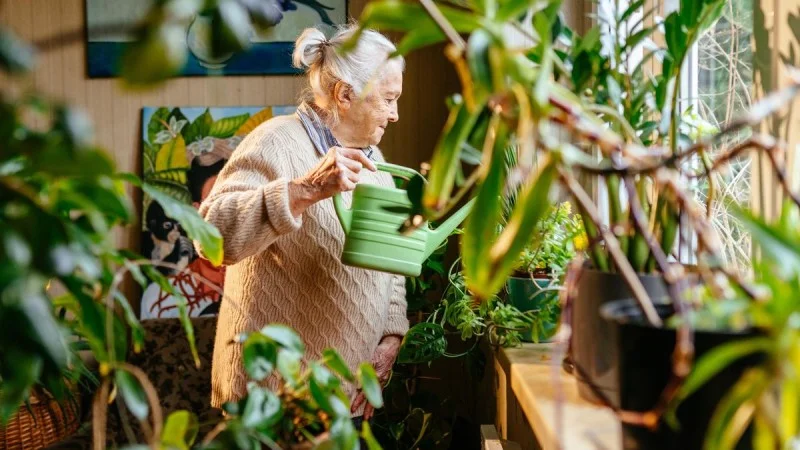 Zpráva: Důchody vyplácené složenkou: seniorské organizace varují před diskriminací