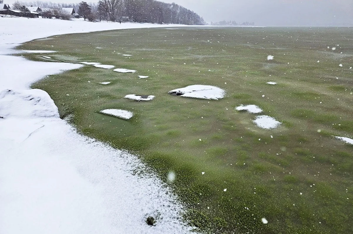 Ilustrace k článku: Na vodní nádrži v Česku se objevuje zelený led, vědci zkoumají jeho vznik
