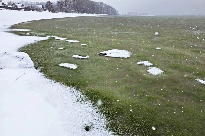 Zpráva: Na vodní nádrži v Česku se objevuje zelený led, vědci zkoumají jeho vznik