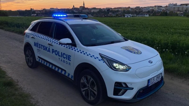 Zpráva: Nehoda v Táboře: Řidička srazila fenu staforda, druhou se podařilo odchytit