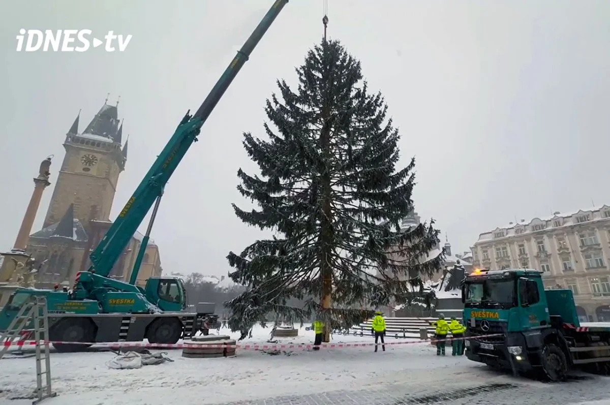 Ilustrace k článku: Na Staroměstském náměstí v Praze byla odstraněna vánoční jedle