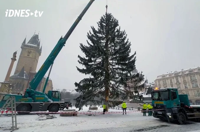Zpráva: Na Staroměstském náměstí v Praze byla odstraněna vánoční jedle