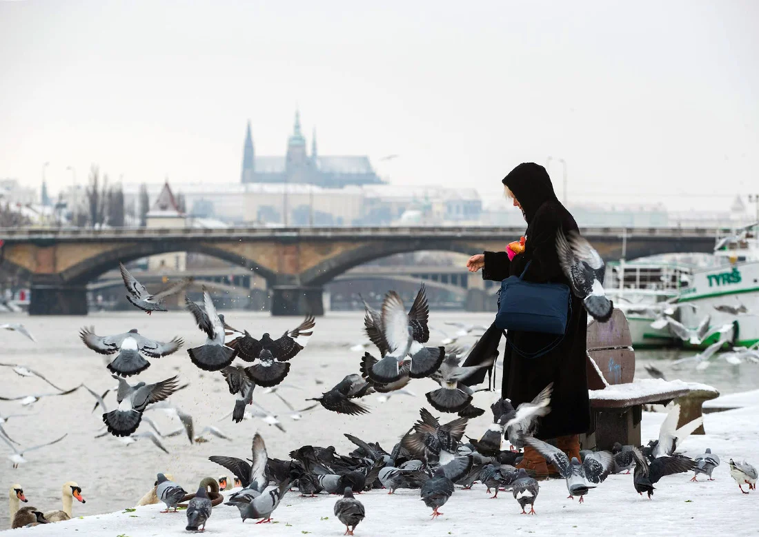 Ilustrace k článku: V Česku platí nové varování před silnými mrazy
