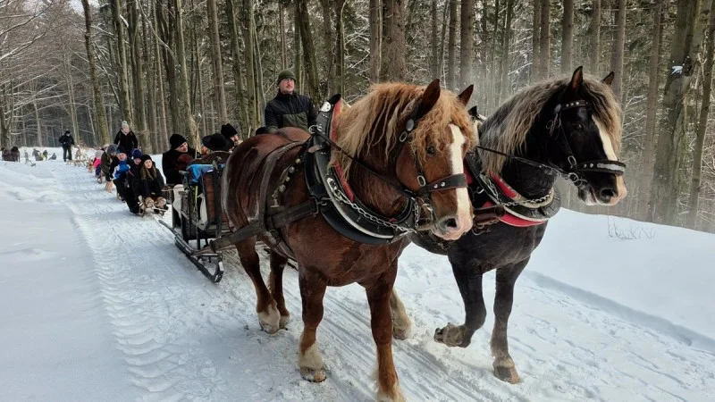 Zpráva: Rekordní účast na zimním kuligu v Horní Lomné
