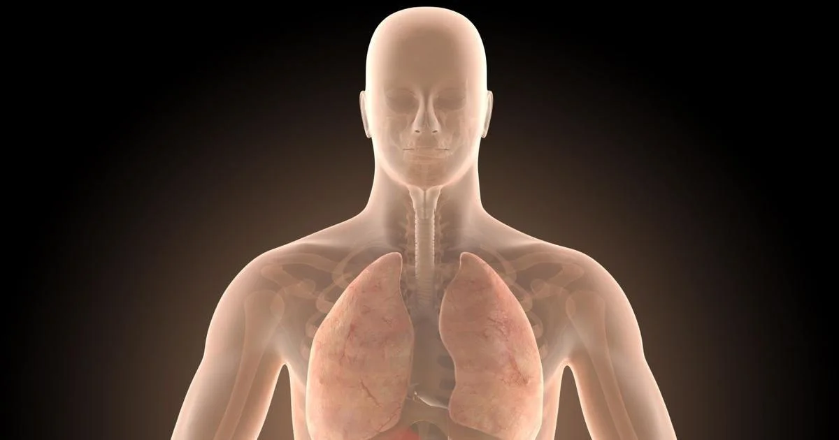 Ilustrace k článku: Půlka Čechů trpí polypy ve střevě, lékaři varují před rizikem rakoviny