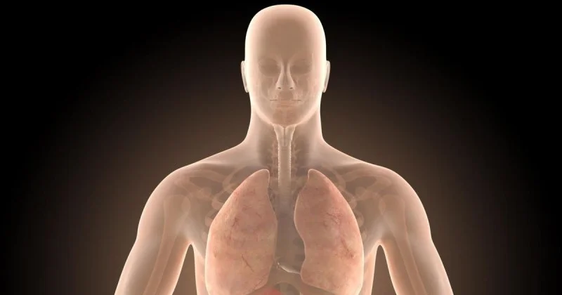 Zpráva: Půlka Čechů trpí polypy ve střevě, lékaři varují před rizikem rakoviny