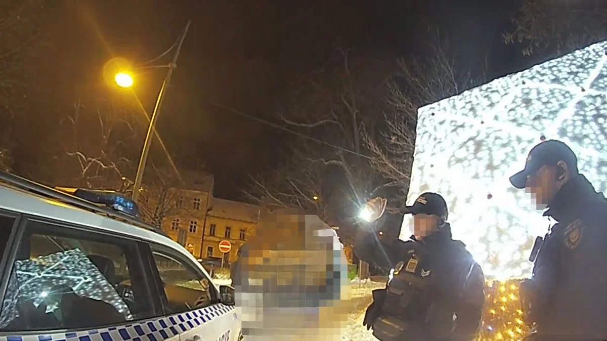 Ilustrace k článku: Mladík s 2,3 promile narazil hlavou do perníkové chaloupky v Českých Budějovicích