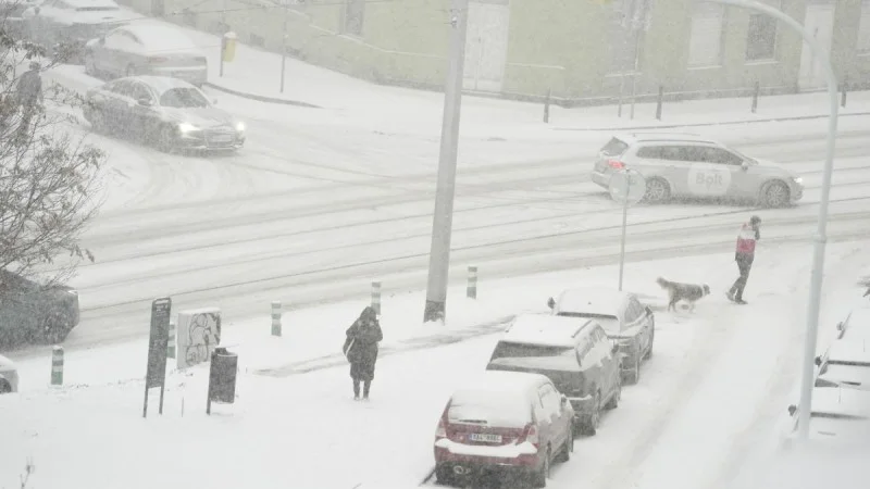 Zpráva: Rekordní zatížení české elektrické sítě kvůli mrazům